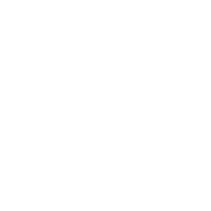 telephone